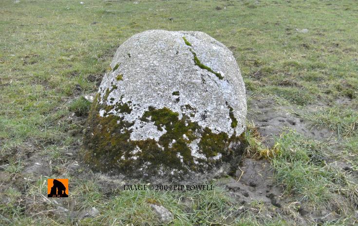CARROWMORE STANDING STONE, COUNTY GALWAY