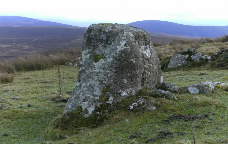 BALLYNULTAGH STANDING STONE, COUNTY WICKLOW
