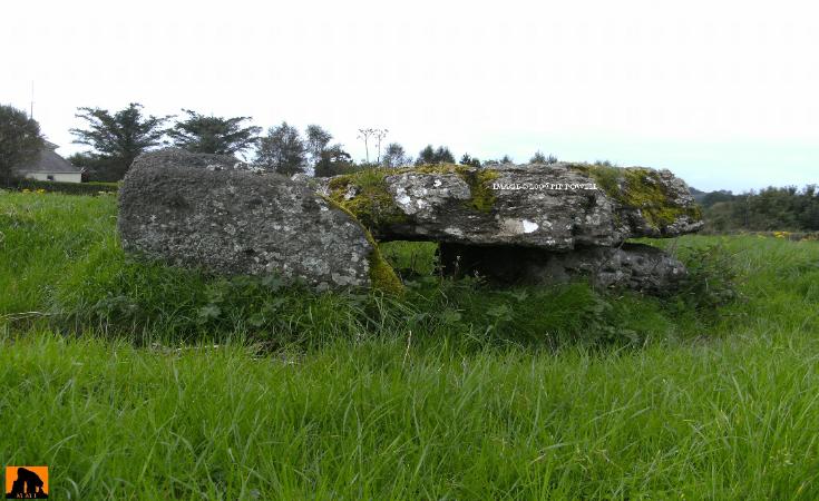 BALLYNAGALLAGH MEGALITHIC TOMB,COUNTY LIMERICK.