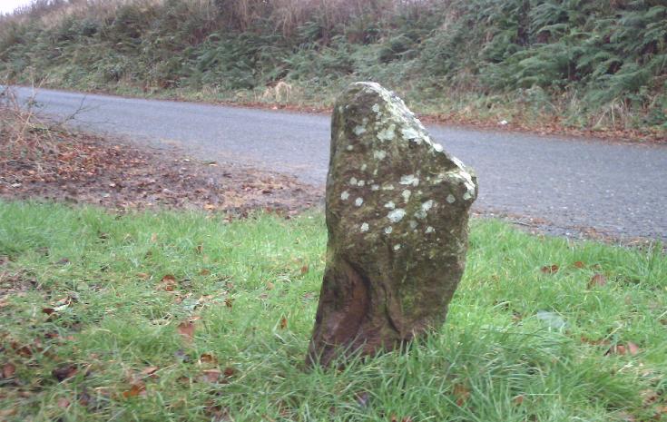 LISNAKILL STANDING STONE, COUNTY WATERFORD