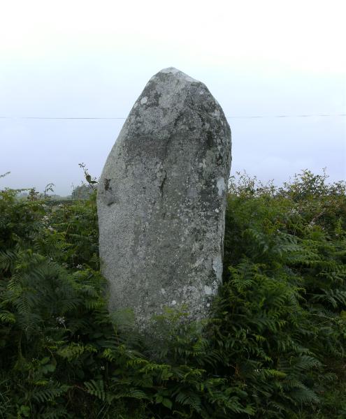 BALLYLOUGHLIN STANDING STONE, COUNTY DOWN